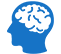 Brain